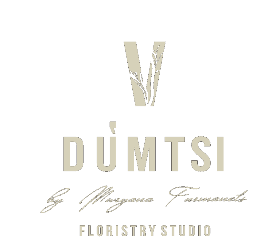 V DUMTSI